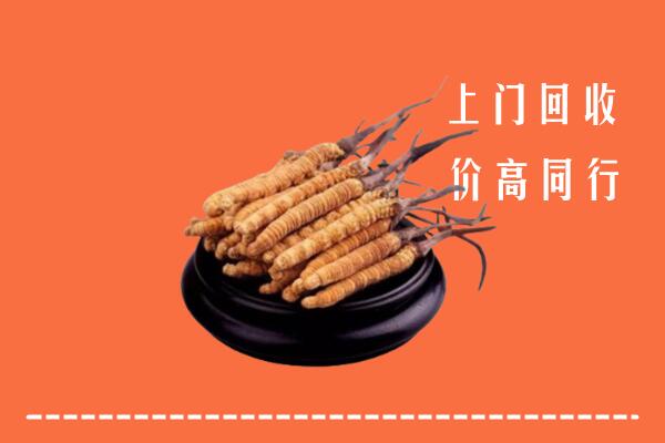 附近收购：瑞丽市冬虫夏草回收多少钱每克